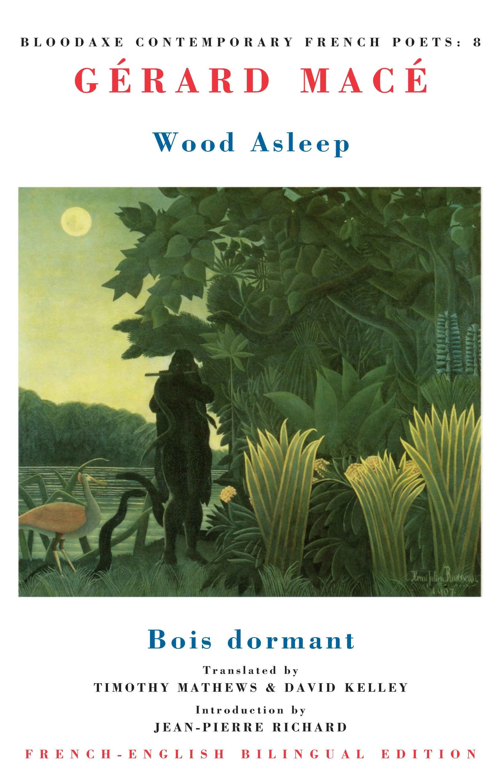 Book cover image for Wood asleep ISBN: 9781852244323